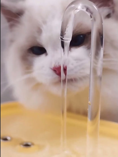 Cat/small dog automatic water fountain